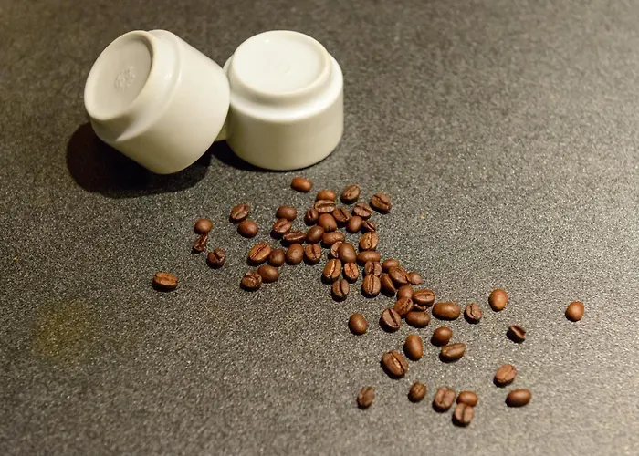 La Dimora Di Amedeo * סיינה